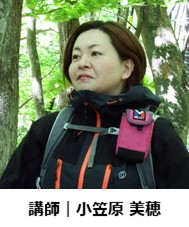 ogasawara